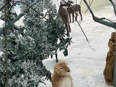 -世界之窗阿尔卑斯冰雪世界