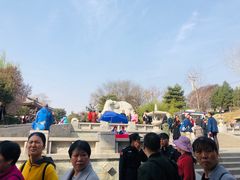 -西安青龙寺遗址景区
