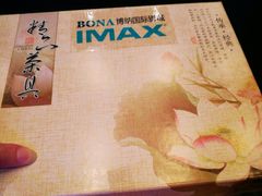 -博纳国际影城IMAX(中央大道店)