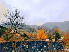 -塔川景区