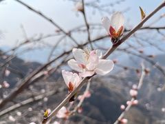 -圣莲山风景区