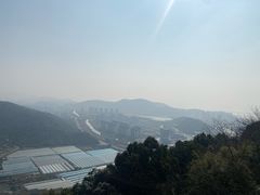 -黄贤森林公园
