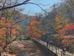 -关门山森林公园