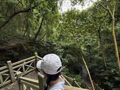 -南宁良凤江国家森林公园