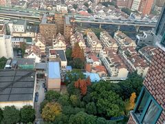 -裕和堂中医推拿艾灸(太古汇臻品店)