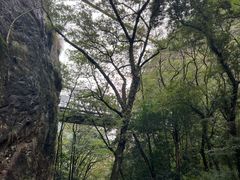 -石门洞景区