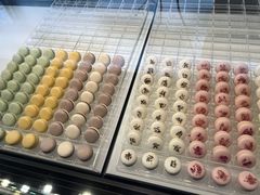 -BLACKSWAN黑天鹅(环球店)