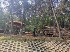 -沈阳森林动物园