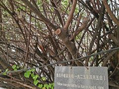 -北京鲁迅博物馆(北京新文化运动纪念馆鲁博馆区)