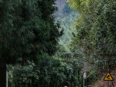 -安吉龙王山风景区