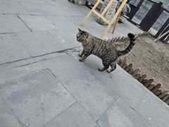 -正阳书局(西四南大街店)