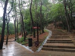 -溪口-滕头旅游景区