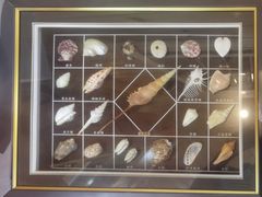 -Oyster Talks 四度蚝法餐厅