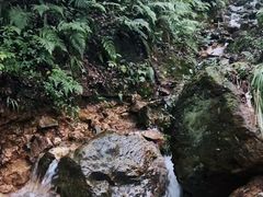 -惠山国家森林公园