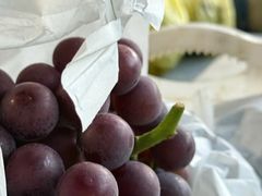 -马陆小张葡萄园农家乐