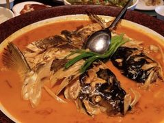 -秀儿四九城·新京菜(亚运村鸟巢店)