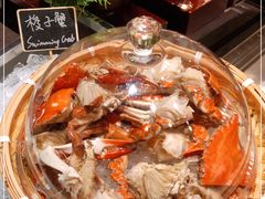 -深圳四季酒店·馥自助餐厅