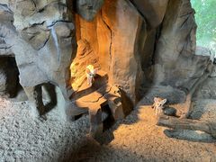 -长鹿旅游休博园
