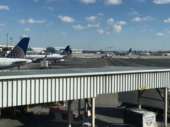 -纽瓦克自由国际机场