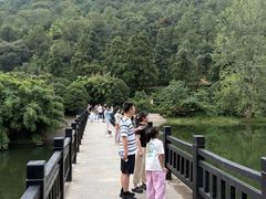 -九龙潭景区