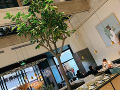 大堂-大树餐厅(红旗街万达店)