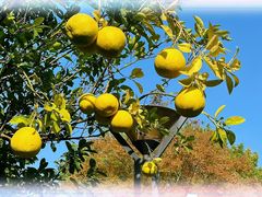 -浙江大学(紫金港校区)