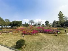 -东莞植物园