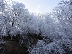-终南山南五台景区