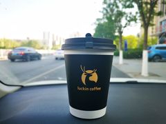 -瑞幸咖啡(合肥南站北广场店)