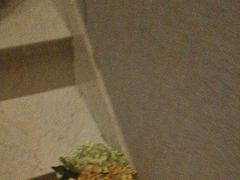 -唐宫足道·SPA·影院会馆(木渎店)