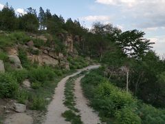-白水寺森林公园