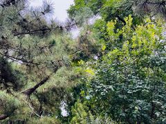 -元大都城垣遗址公园