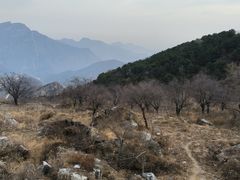 -北京上方山国家森林公园