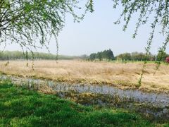 -艾溪湖湿地公园