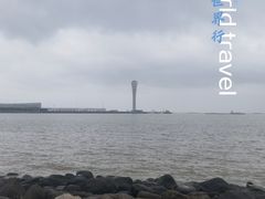 -上海吴淞炮台湾国家湿地公园