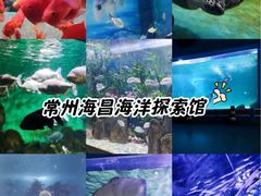 -常州海昌海洋探索馆
