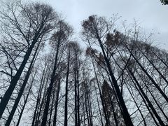 -中共上海市委党校 上海行政学院