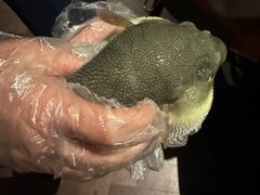 -肆月河豚·淮扬菜·湘菜(华天店)