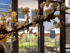 -梅花境(万科店)