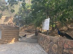 -燕塞湖鸟语林景区