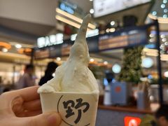 -野人先生Gelato(上海长宁龙之梦店)