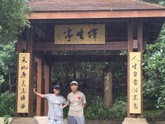 -灵谷景区