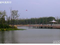 -新江湾城公园