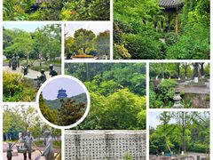 -杭州半山国家森林公园