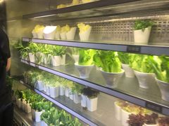 -V-ONE西雅图海鲜自助餐厅(仓山万达广场店)