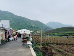 -龙坞茶村