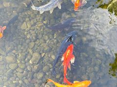 -昆明洲际酒店