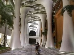 -三亚湾红树林度假世界(木棉酒店)