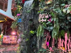 -正佳雨林生态植物园