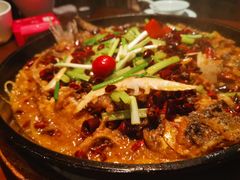 -老板恋上鱼(高新万达店)